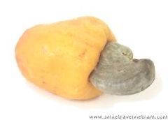 Cashew fruit (Hat dieu)