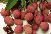 Litchi (Vai thieu)