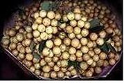 Longan (Nhãn)