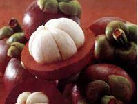 Mangosteen (Mang Cut)