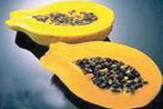 Papaya (Du du)
