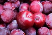 Plum (Man)