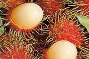 Rambutan (chom chom)