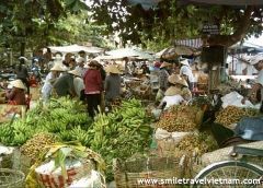 Mekong Delta